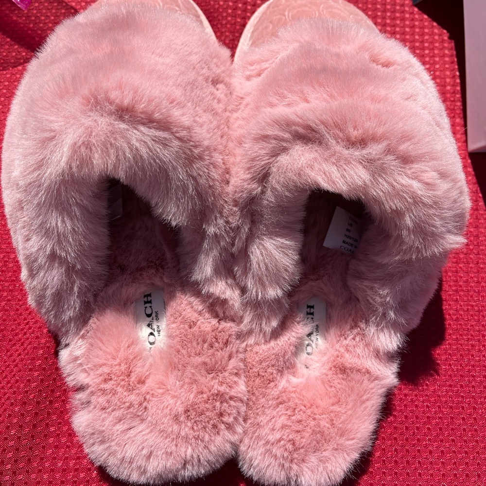Coach shoes